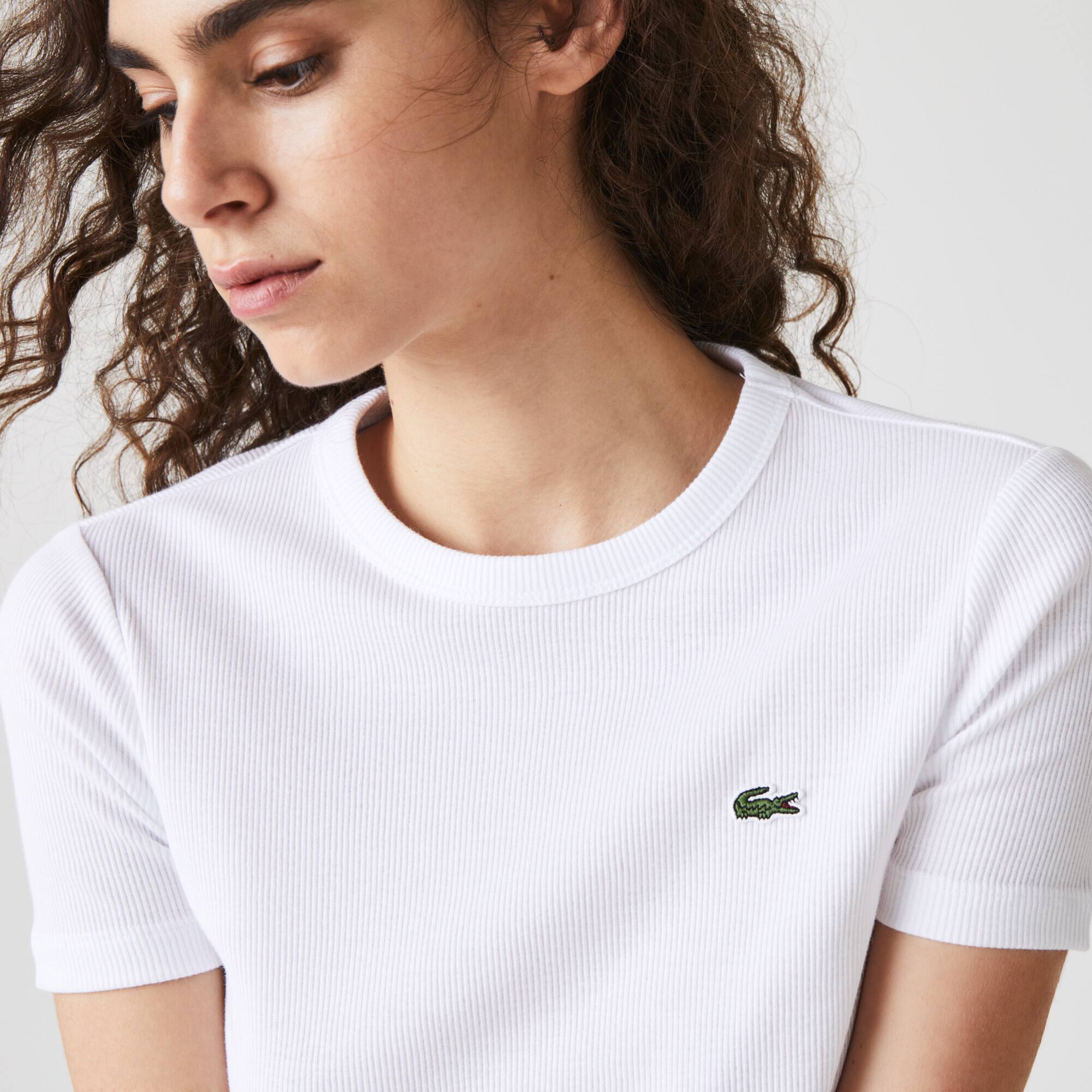 Lacoste T Shirt Femme T Shirts Tops Et Chemisiers Vetements Iplanmovilidad Com Lacoste T Shirt Femme T Shirts Tops Et Chemisiers Vetements Iplanmovilidad Com